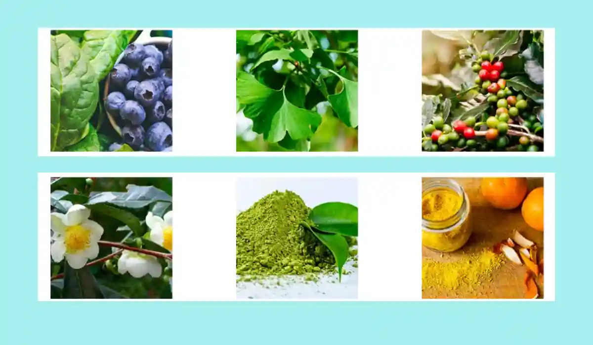 Java Brain Ingredients